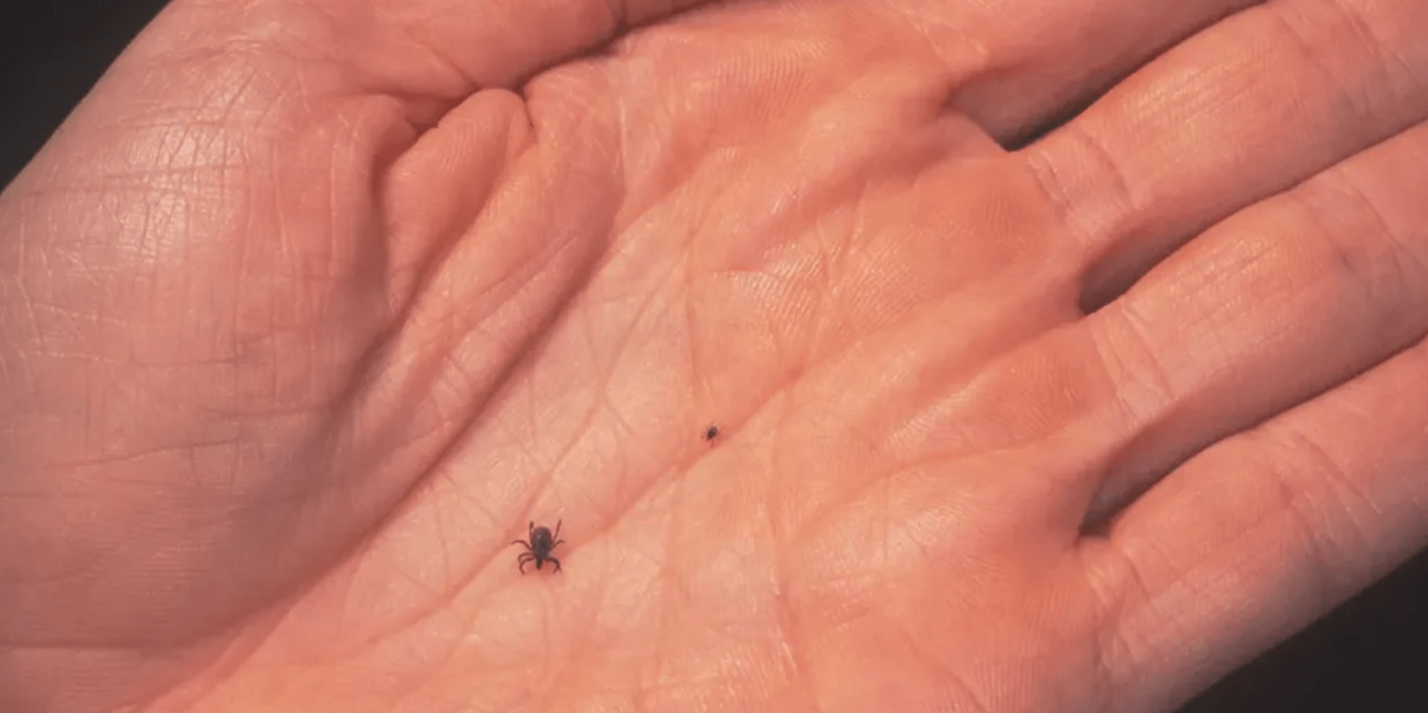9:30 Is Wetland Virus the Next Global Concern?