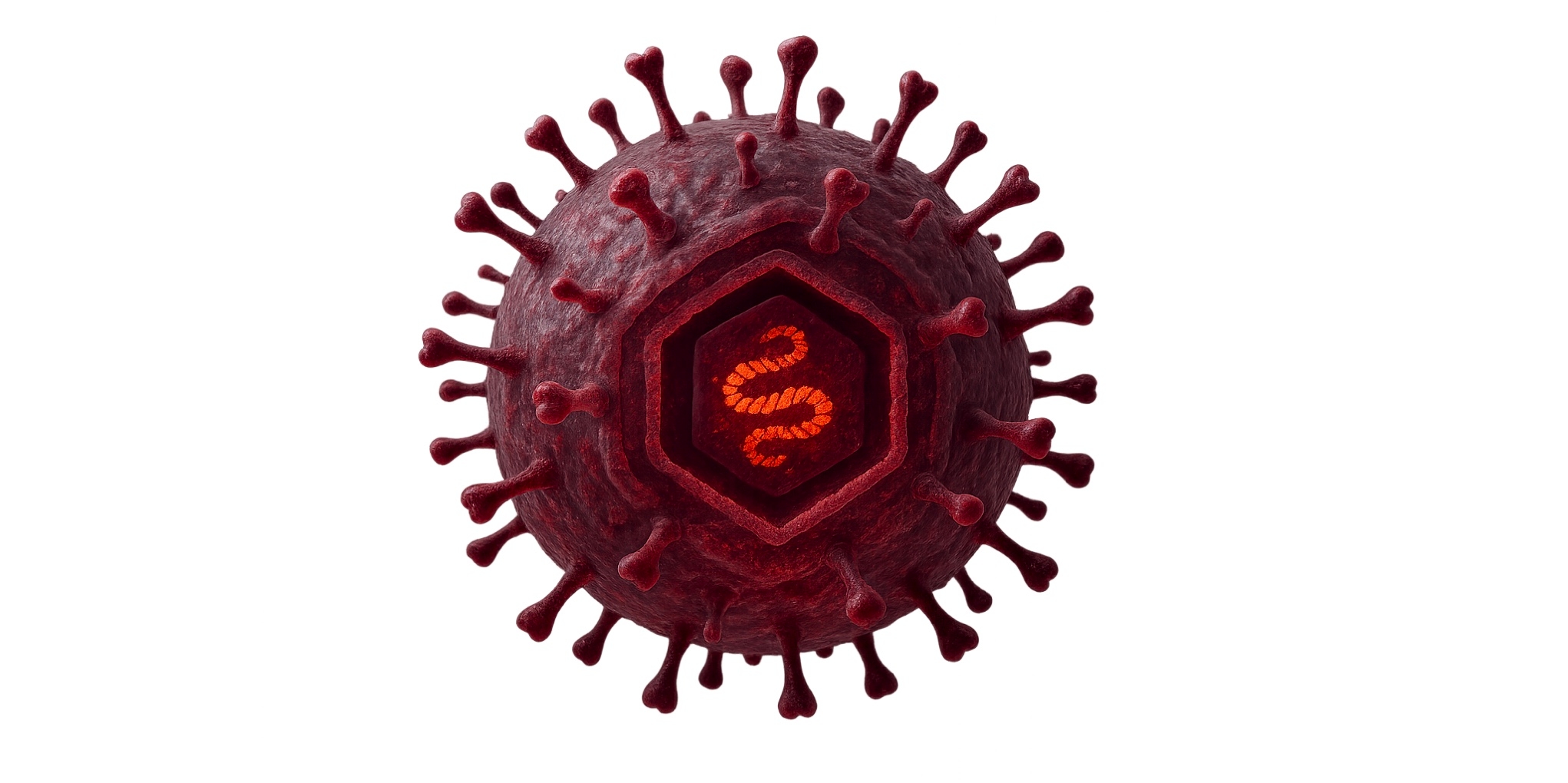 Herpes Zoster (Cacar Api/CAPI) F
